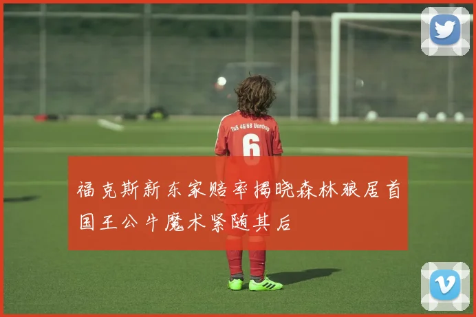 福克斯新东家赔率揭晓森林狼居首国王公牛魔术紧随其后