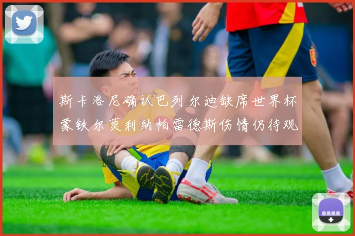 斯卡洛尼确认巴列尔迪缺席世界杯蒙铁尔莫利纳帕雷德斯伤情仍待观察